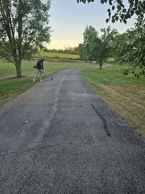 Newly paved asphalt driveway with dark finish and clean edges, lined with mature trees